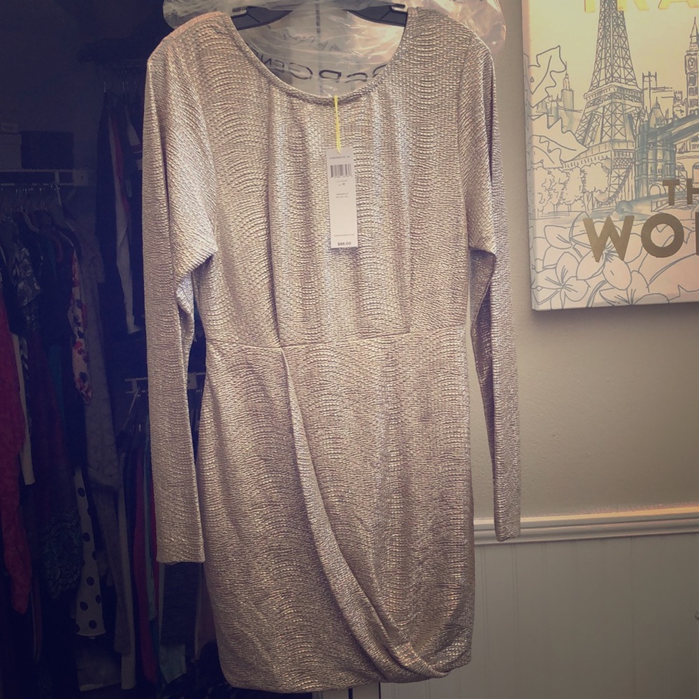 BCBG Generation Silver snakeskin dress brand new